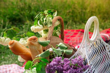 Summer and spring outdoor recreation with delicious beautiful fo