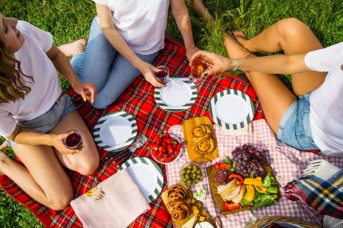 Lezzetli yemek ve şarap ile doğada bahar ve yaz eğlence