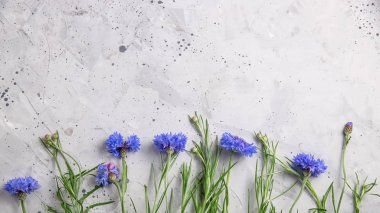 Mavi çiçekler ile güzel minimalist gri arka plan