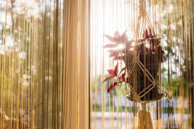 Transpa karşısında tencere asılı bir ev bitki ile dokulu pot