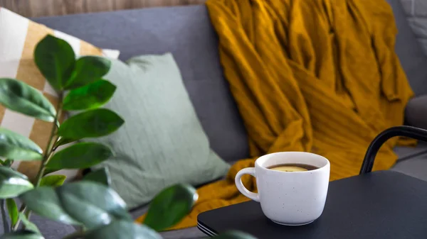 灰色のソファと落ち着いた光で家庭的な快適さ — ストック写真