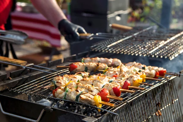 Fresh hearty mint chicken street food with grilled vegetables — Stock Photo, Image