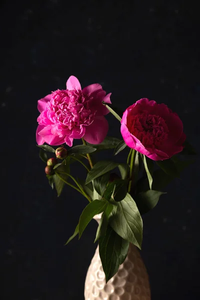 Peônias rosa brilhante em um estilo mínimo escuro . — Fotografia de Stock