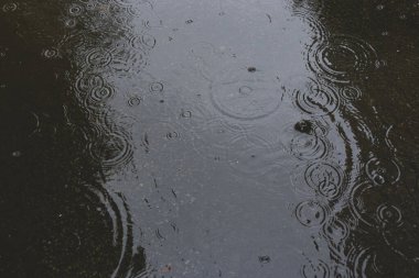 Şehir yolundaki büyük bir su birikintisindeki yağmur damlalarından çemberler. Sonbaharda sağanak yağmur. Arkaplan