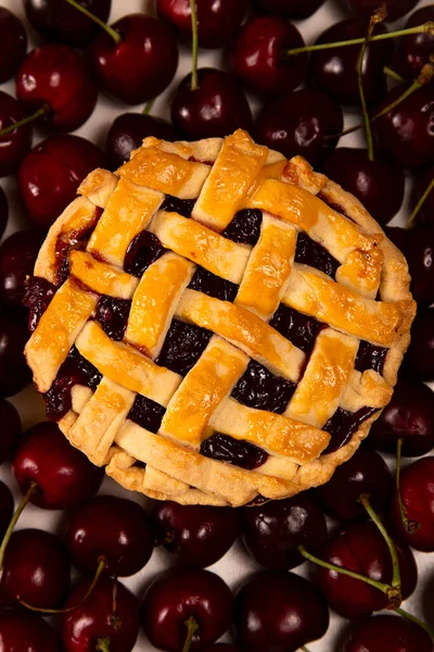 Mini tarte cerise aux cerises mûres sur fond de cerises mûres — Photo