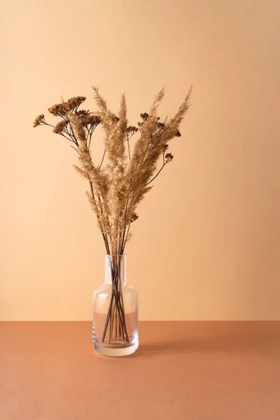 Dried flowers in a transparent minimalistic vase.