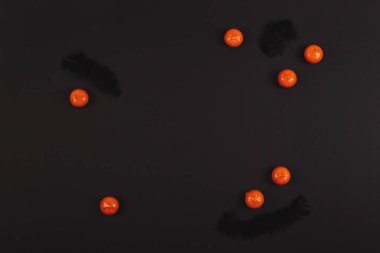 Tüyleri ve küçük balkabakları olan siyah bir arka plan. Cadılar Bayramı