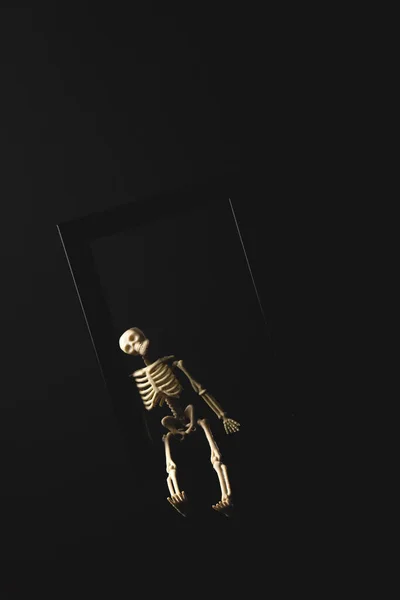 Скелет Хэллоуина на черном фоне с копировальным пространством — стоковое фото