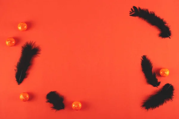 羽やミニカボチャとオレンジの背景。ハロウィン — ストック写真