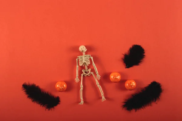 Fondo arancione con scheletro, piume e mini zucche. Halloween — Foto Stock