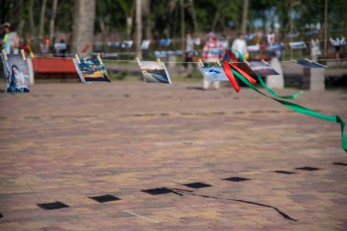 Mayıs 27, 2008. Rusya. Rostov-on-Don. Open olayı. Profesyoneller ve olmayan profesyonellerin fotoğrafçıların fotoğrafların sokak gösterisini. Kurutma fotoğraf. Keten iğne ile ipler resimleri dayan.