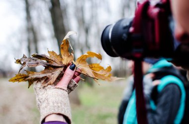 Bir genç kız fotoğrafçı sonbahar bir parkta elinde akçaağaç yaprakları