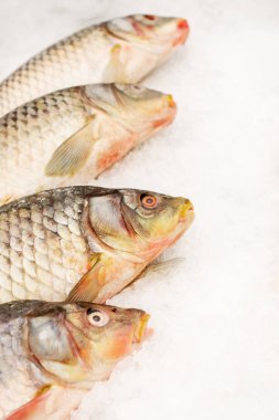 Süpermarket buzdolabında taze akarsu balığıdır. İstavrit dondurulur. Yararlı protein yiyecek.