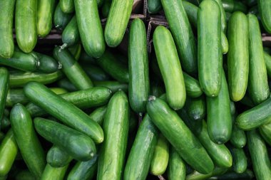 taze yeşil şık salatalık sebze süpermarkette karton kutular