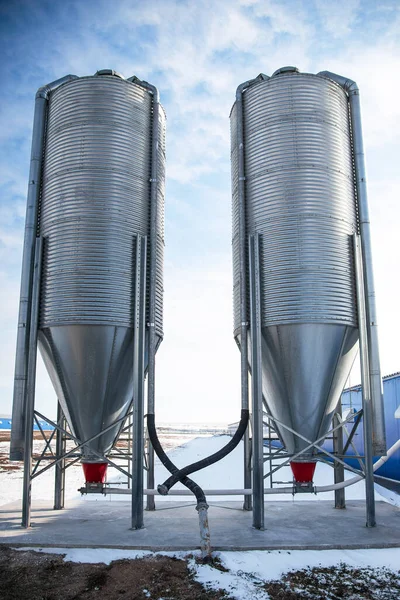huge metal tanks for storing grain from the fields. Agricultural silos on a winter day