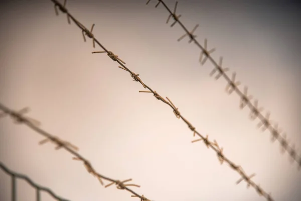 Three Rows Barbed Wire Spikes Sky Protection Private Property Protected — Stock Photo, Image