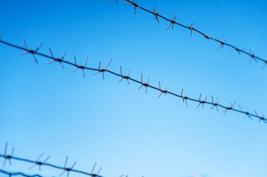 Üç sıra dikenli tel, mavi gökyüzüne karşı çitin üzerinde dikenler var. Özel mülkün ve korunan nesnenin korunması. Hapishane. kuşhane