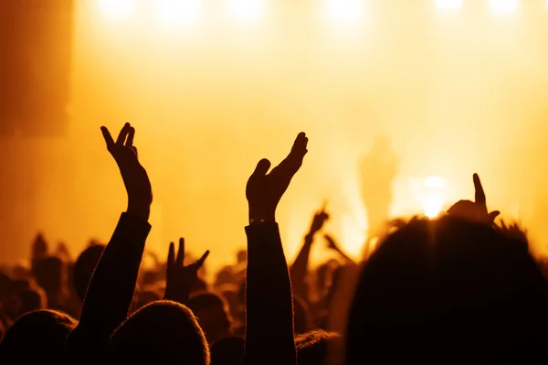 Silhueta Uma Multidão Alegre Dançando Festival Música Luz Dos Holofotes — Fotografia de Stock