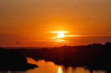 Göz kamaştırıcı bir günbatımında siluetler, parlak ışınlar ve nehrin üzerindeki kuşlar. Güneş ışığından gelen suyun parlaklığı. Doğanın mucizeleri ve güzelliği