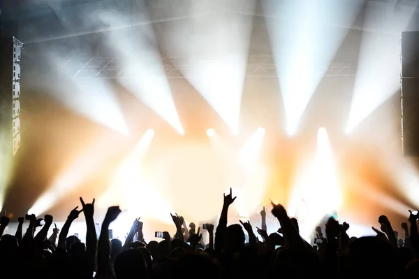 Bailando y aplaudiendo a la multitud frente al escenario en un festival de música . Imágenes De Stock Sin Royalties Gratis