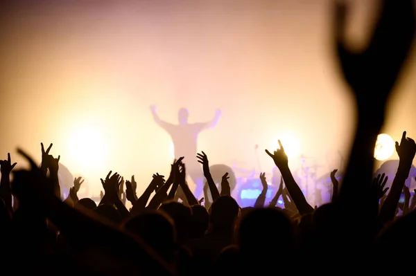 Silueta de un músico en el escenario y multitud en la sala de un festival de música — Foto de Stock