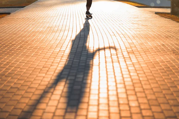 夕日の公園でスケートボードに乗ってる女の子 道路上の少女の影 休暇で10代 背景がぼやけていて — ストック写真