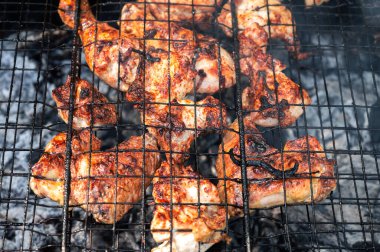 Portatif piknik ızgarasında kızartılmış tavuk turşusu. Zararlı yağlı yiyecekler. Arka bahçedeki barbekü partisi