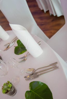 Bir dekorasyon olarak kullanılan taze yeşil yaprakları ile bir ayıklayacaktır için ayarlanmış bir tablo