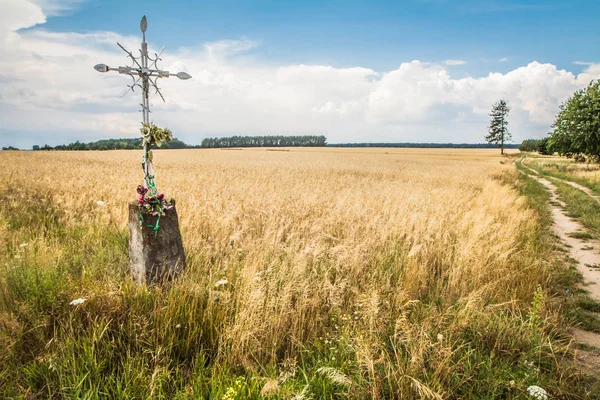 Mısır gevreği alanına çapraz