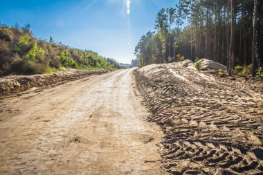 Bir yol yapı bir orman olmanın yeni bir yol bir inşaat sahasında