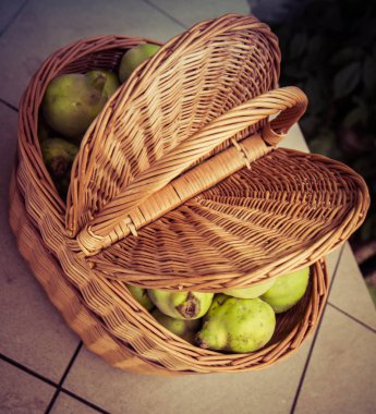 Sepet ayva meyvesi dolu