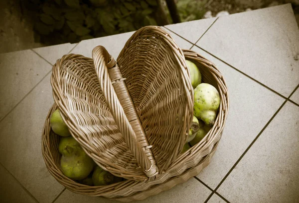 Basket Full Quince Fruit — Stock Photo, Image