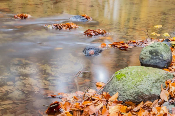 Ruisseau Dans Une Hêtraie Automne Longue Exposition — Photo