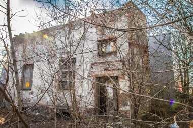 Ağaçlar ve çalılar etrafında çökmek üzere terk edilmiş evde