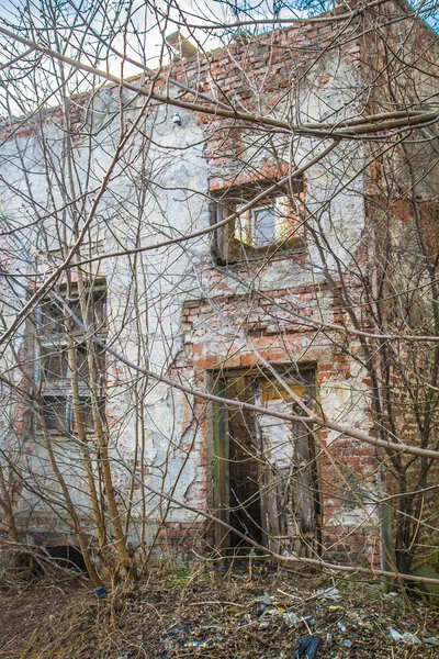 Abandoned House Collapse Trees Shrubs — Stock Photo, Image