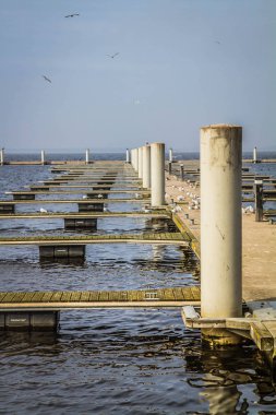 Bazı ördekler ve martılar ile ahşap iskele görünümü