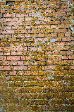 Tuğla duvar yakın çekim