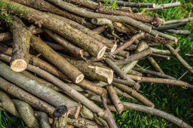 Ağaç yığını - dalları kes  