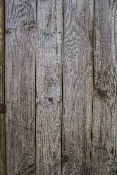 Træbaggrund Planker Nærbillede - Stock-foto