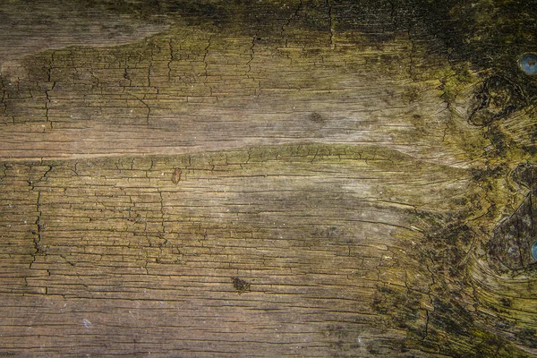 Podłoże Drewniane Deski Zamknij Się — Zdjęcie stockowe