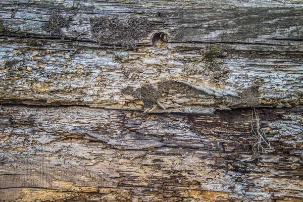 Wooden Background Close Old Railroad Ties — 스톡 사진