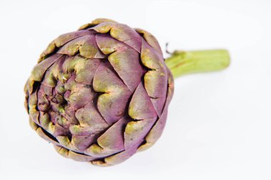 Beyaz arkaplanda tek bir enginar çiçeği