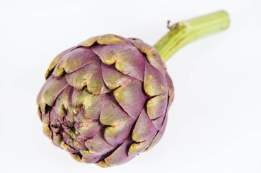 Beyaz arkaplanda tek bir enginar çiçeği