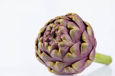 Beyaz arkaplanda tek bir enginar çiçeği