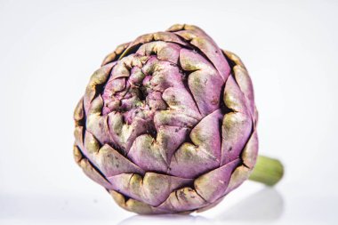 Beyaz arkaplanda tek bir enginar çiçeği