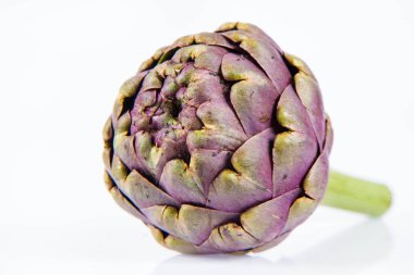 Beyaz arkaplanda tek bir enginar çiçeği