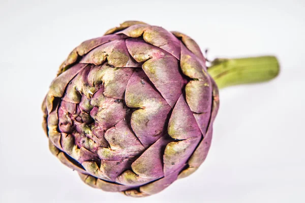 Una Sola Flor Alcachofa Sobre Fondo Blanco — Foto de Stock