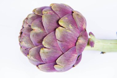 Beyaz arkaplanda tek bir enginar çiçeği