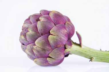 Beyaz arkaplanda tek bir enginar çiçeği