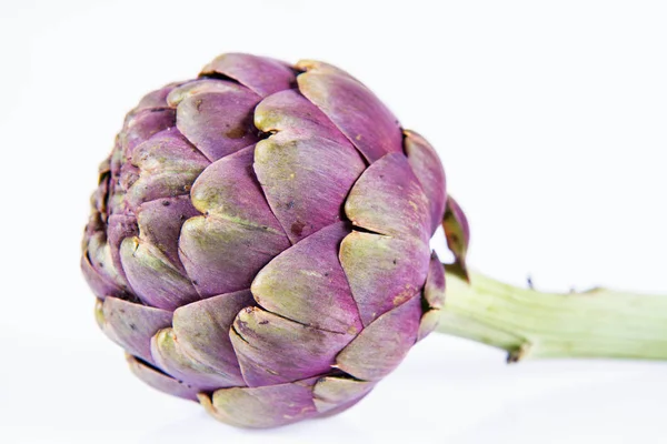 Unico Fiore Carciofo Fondo Bianco — Foto Stock